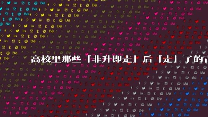 高校里那些「非升即走」后「走」了的青年教师都怎么样了？